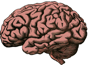 脳2