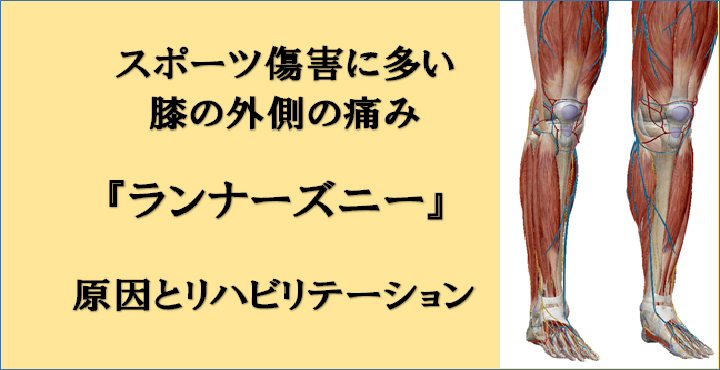 膝の外側の痛み ランナーズニー 腸脛靭帯炎 の概要 サポーター テーピングを含む治療方法について解説します リハビリテーションコンサルタント