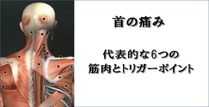 首の痛み を引き起こす代表的な6つの筋肉とトリガーポイント リハビリテーションコンサルタント