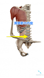 肩関節の内旋