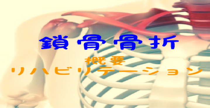 鎖骨骨折の概要とリハビリテーション