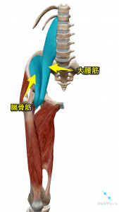 腸腰筋