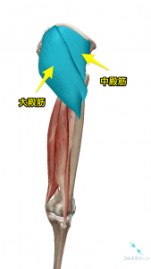 大殿筋・中殿筋