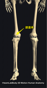 膝蓋骨