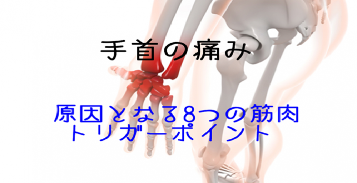 手首の痛みを引き起こす8つの筋肉とトリガーポイント