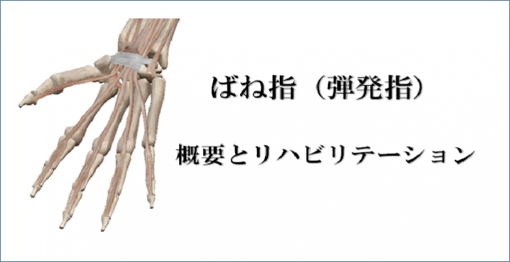 ばね指の概要とリハビリ治療