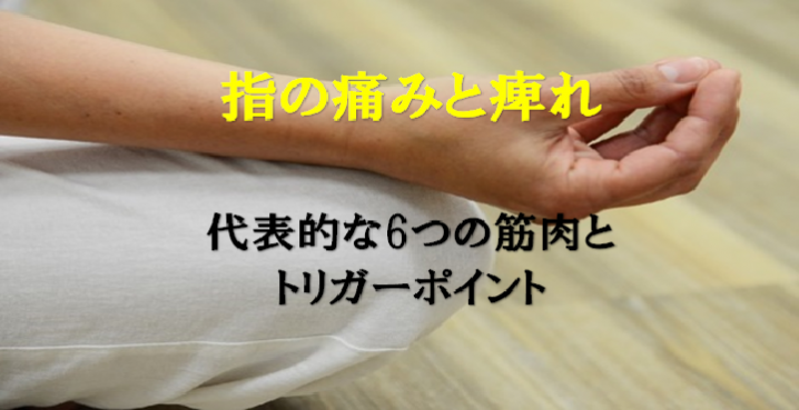 指の痛みと痺れを引き起こす代表的な6つの筋肉とトリガーポイント