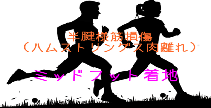 陸王に学ぶ 半腱様筋損傷 ハムストリングス肉離れ の原因 症状 リハビリ治療と ミッドフット着地 について解説します リハビリテーション コンサルタント