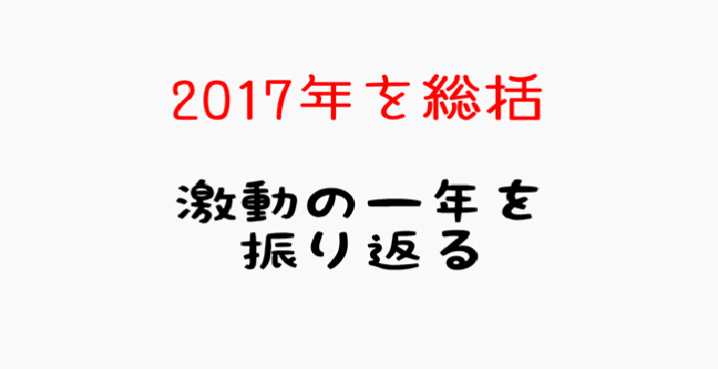 2017年総括